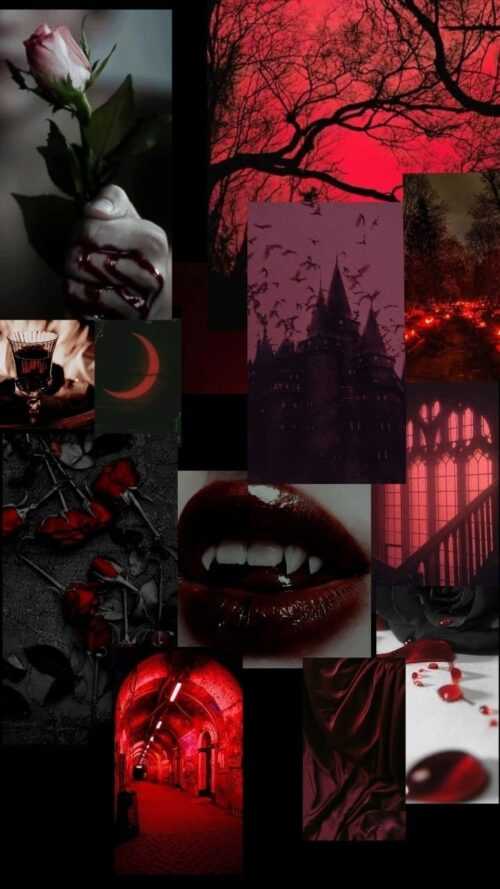 Vampire Aesthetic Wallpaper