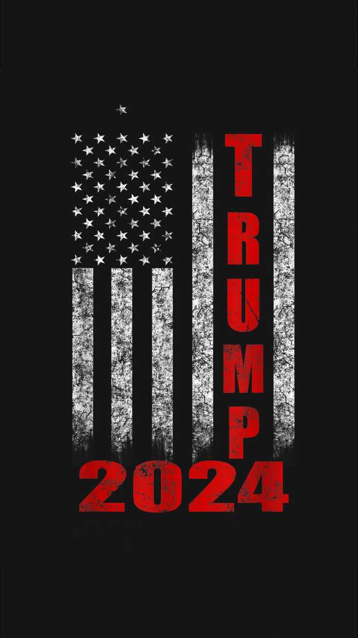 Trump 2024 Fabric Wallpaper and Home Decor  Spoonflower