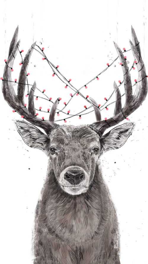 Reindeer Wallpaper