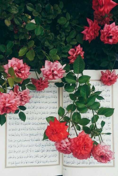 Quran Wallpaper