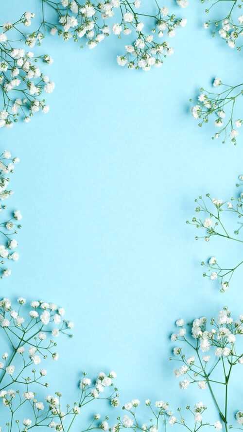 Baby Blue Wallpaper