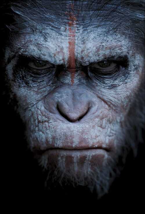 Planet Of The Apes Wallpaper